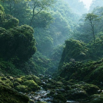 全景6
